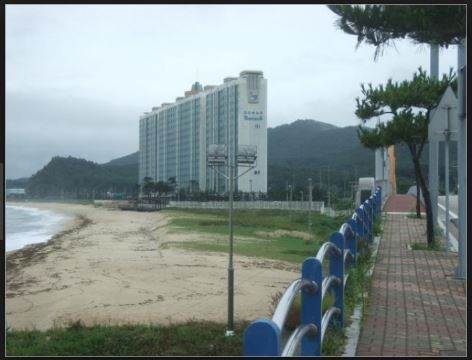 오직 오션뷰만 조지는 아파트.jpg | 인스티즈