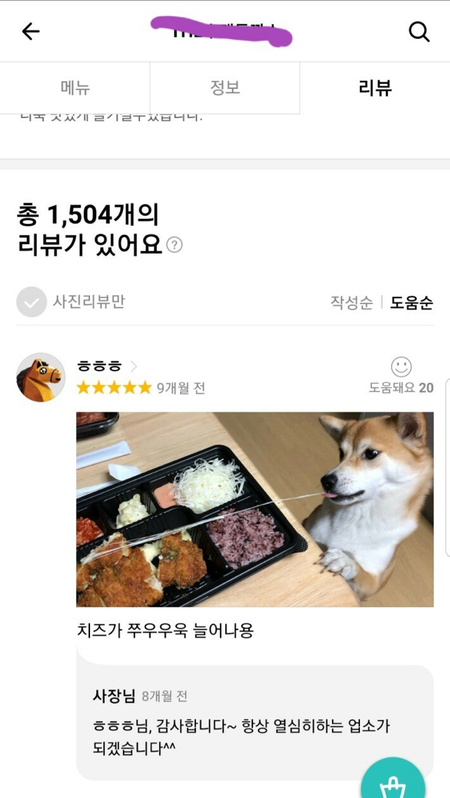 치즈 돈가스 리뷰 | 인스티즈