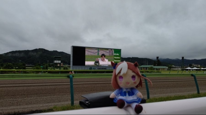 경마장에서 벌어진 박제사건 | 인스티즈