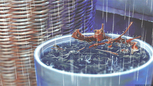 비 오는 날 호 vs 불호.gif | 인스티즈