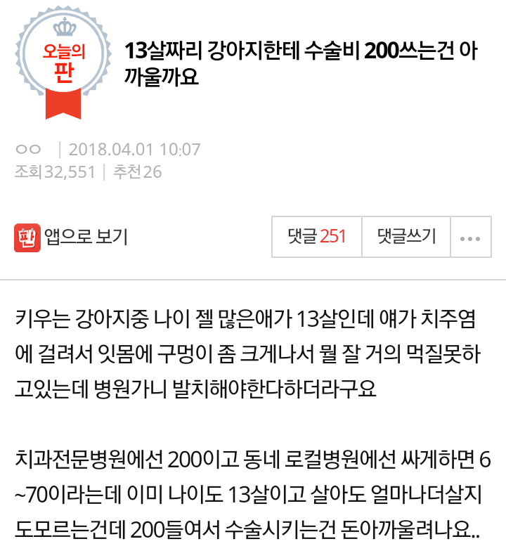 13살짜리 강아지한테 수술비 200쓰는건 아까울까요 | 인스티즈