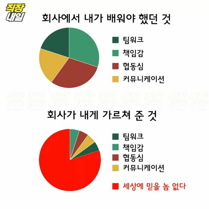 회사에서 내가 배워야했던것 | 인스티즈