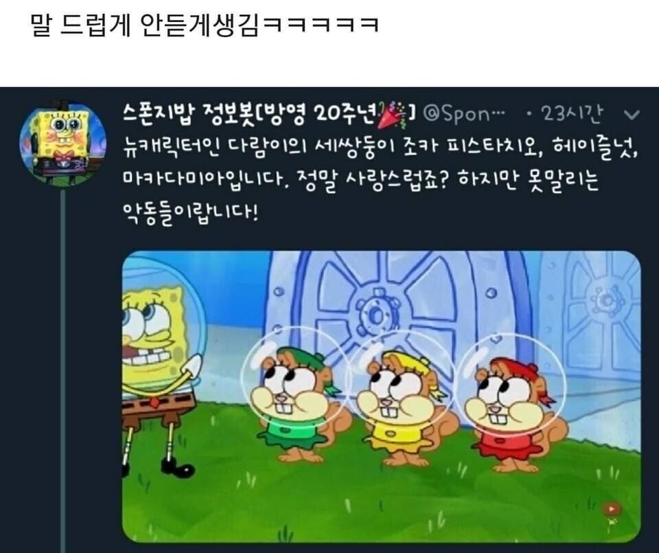 스폰지밥 신캐릭터 등장 | 인스티즈