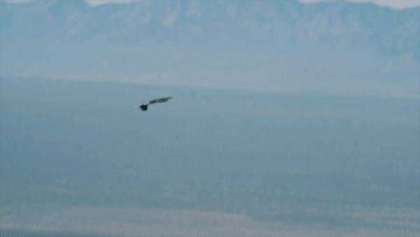 맥클러니(태평양 사령부 공군 사령관, 알래스카 공군기지 사령관 등 역임) : 북한이 서울을 공격할경우 북한 전체지역은 15분을 넘기지 못한다 | 인스티즈