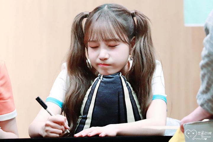 시킴 이미지