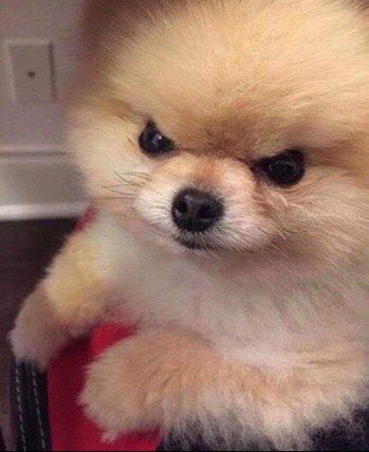 나한테 소홀하면 | 인스티즈