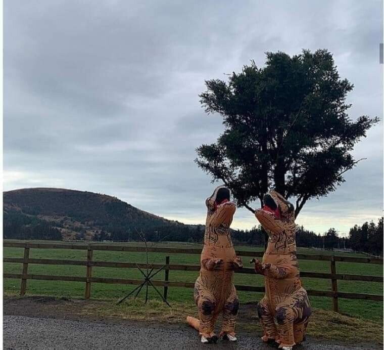 인싸 커플들이 여행을 즐기는 방법 | 인스티즈