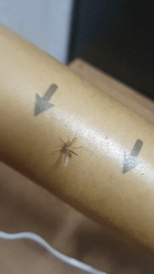 95afb9017e45382f727b4f1b9d48f058e98f2bbc