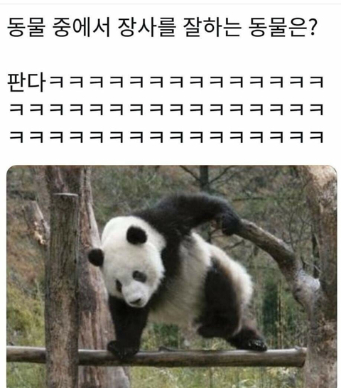 동물개그 모음집.JPG | 인스티즈