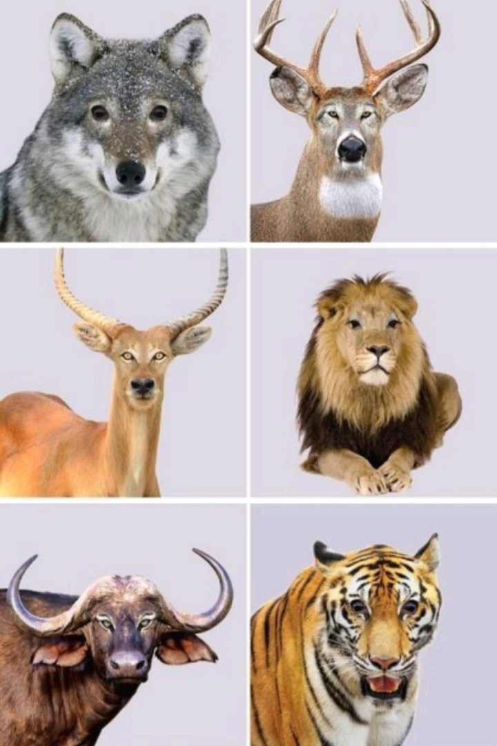 눈매의 중요성.JPG | 인스티즈