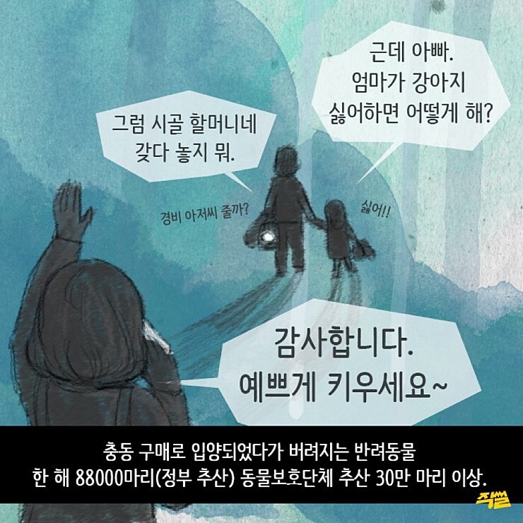 애견샵 불편한 진실 | 인스티즈