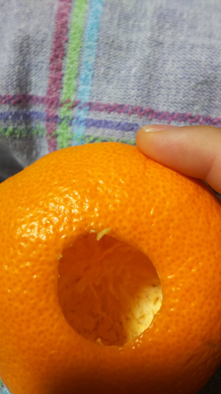 귤로 사람 놀리는 방법....jpg | 인스티즈