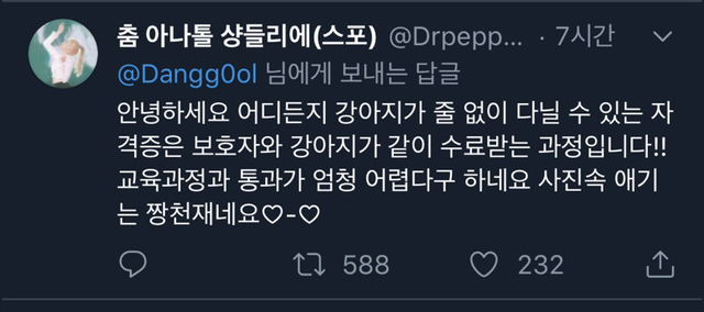 강아지 학교 졸업한 독일 강아지.jpg | 인스티즈