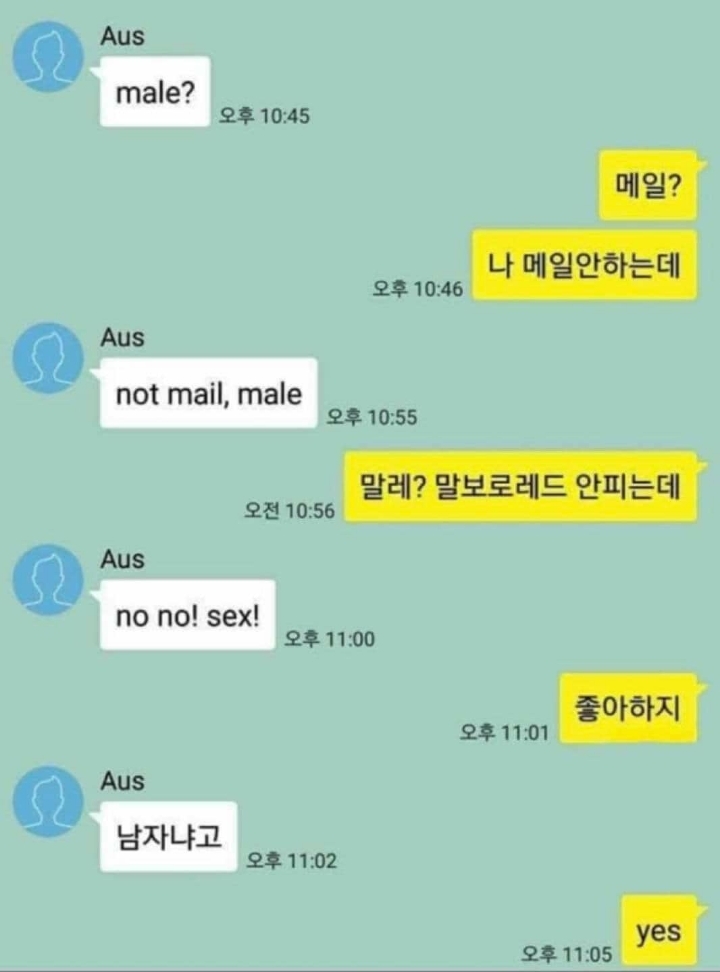 답답해서 후딱 한국말 배워온 외국인 | 인스티즈
