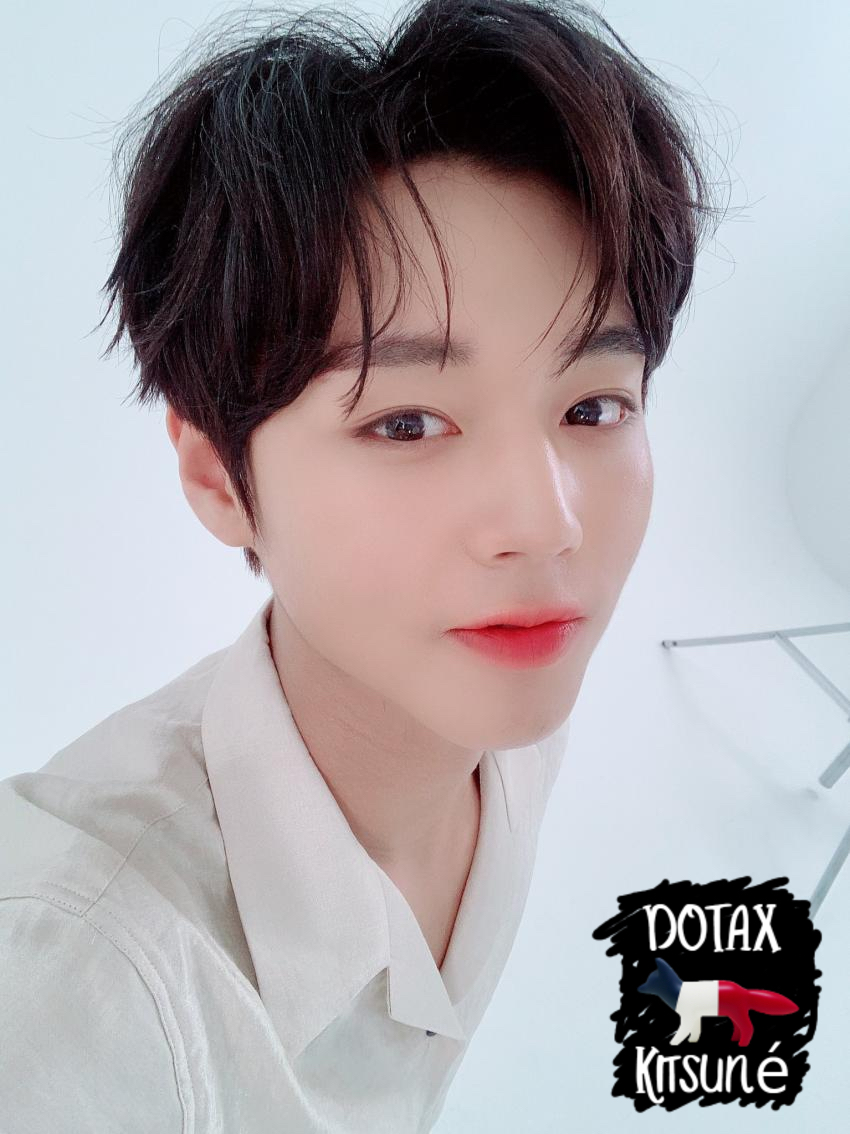 해질녘이 왜 개와 늑대의 시간이라고 불리는걸까? | 인스티즈