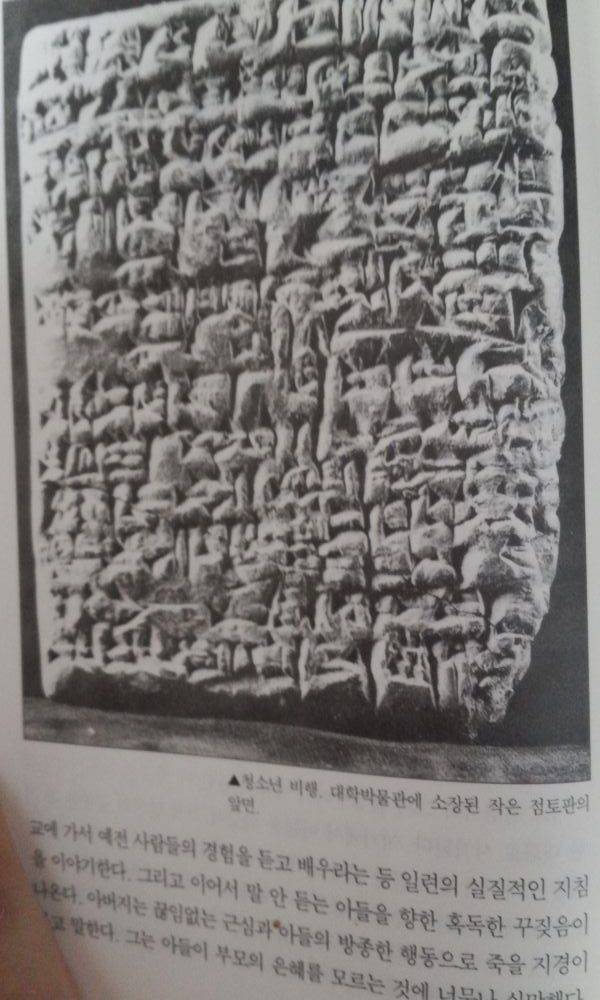 4000년전 부모 자식간의 싸움 | 인스티즈
