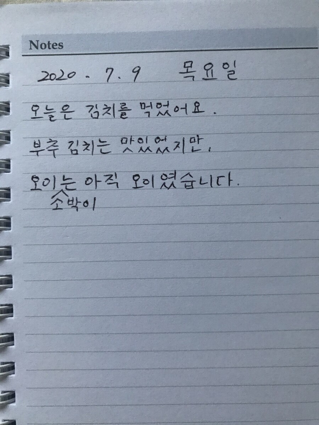 판) 일본인 남편의 뼈때리는 일기 | 인스티즈