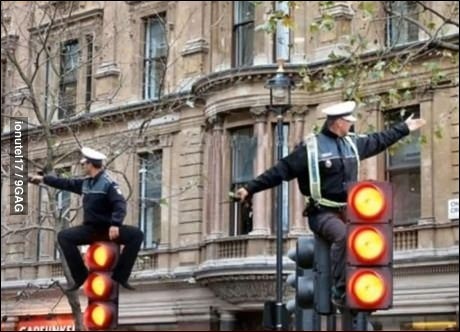 이젠 이유알기도 귀찮고 그냥 평화로운 일상임.gif | 인스티즈