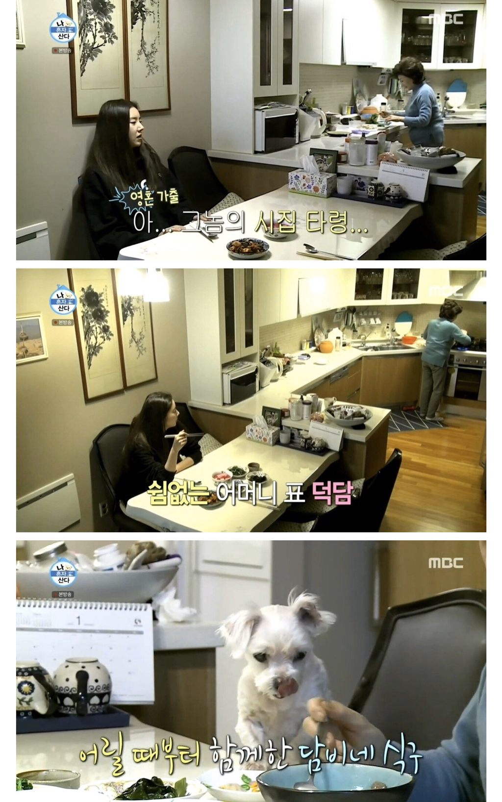 손담비가 어머니랑 같이 안사는 이유...jpg | 인스티즈