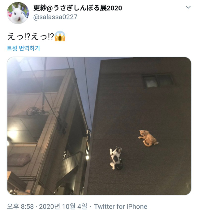 밤중에 건물 벽을 보고 눈을 의심한 트위터리안.jpg | 인스티즈