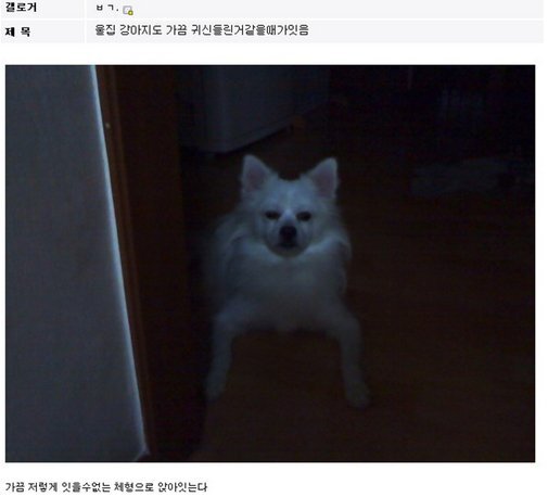 디씨 드립 레전드 모음 | 인스티즈