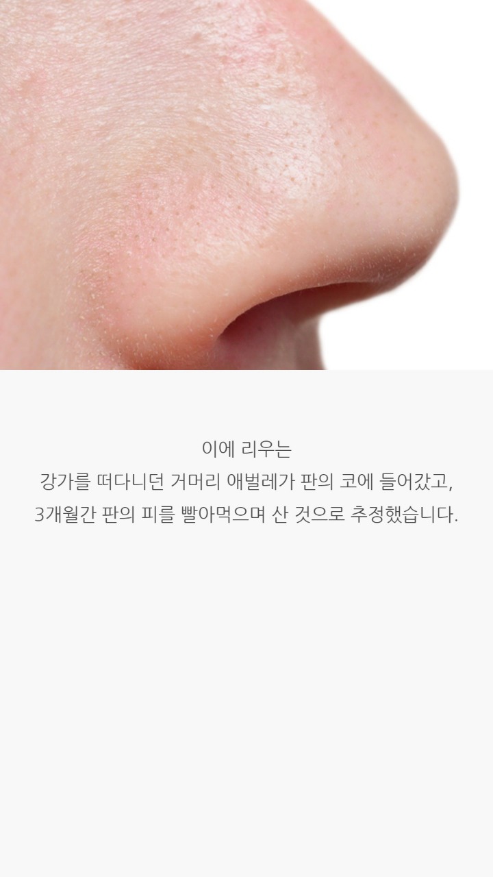 열흘동안 코피가 계속 난 이유 | 인스티즈