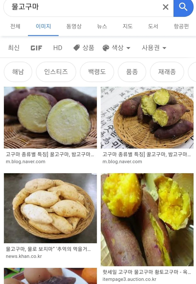 🍠고구마 이미지 검색결과.jpg | 인스티즈