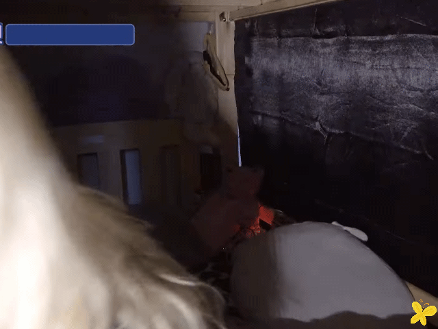 아주 오랜만에 찾아오는 프로미스나인 이나경🐥 | 인스티즈