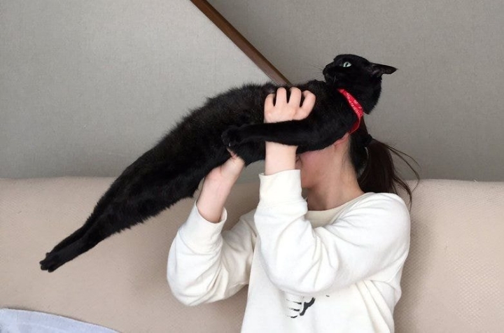 터알 이미지