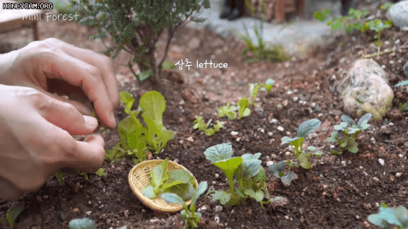 야외에서 먹는 삼겹살 클라스.gif | 인스티즈