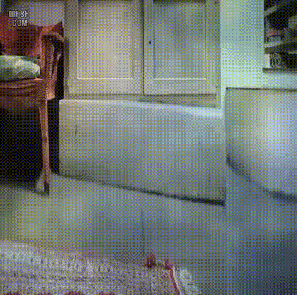 진실을 보여주는 웹캠 | 인스티즈