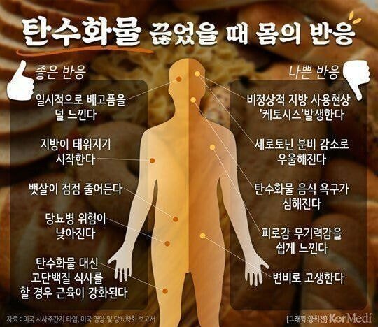 탄수화물 끊었을 때 몸의 반응.JPG | 인스티즈