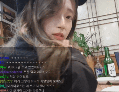 하루에 번호 2번도 따여봤다는 트위치 스트리머 연두부 | 인스티즈