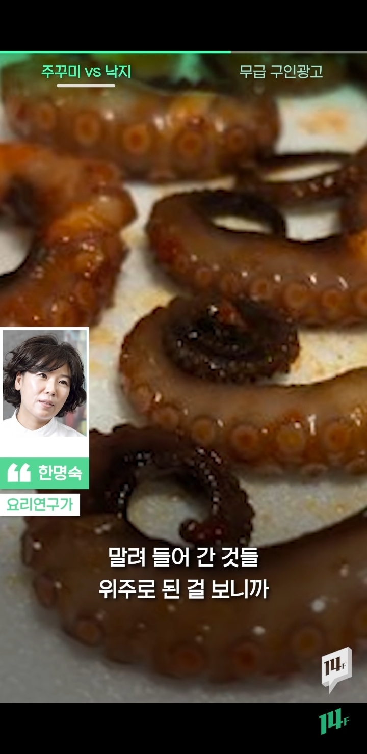 얼마전 낙지냐 쭈꾸미냐 논쟁의 전문가 의견 | 인스티즈
