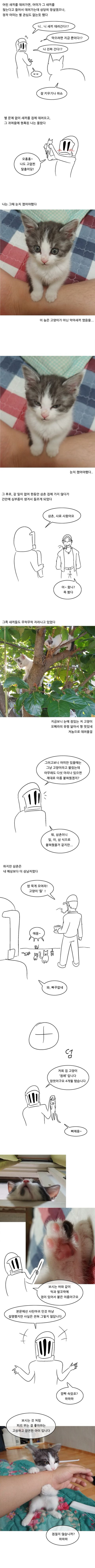 무뚝뚝한 경상도 삼촌이 고양이 키운 썰.jpg | 인스티즈