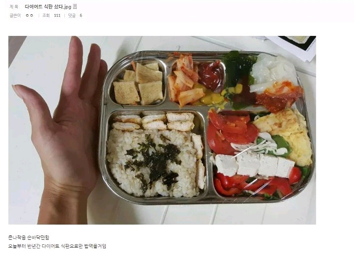 다이어트 식판을 샀다.jpg | 인스티즈