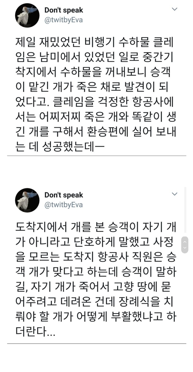 비행기 수하물 클레임 레전드.jpg | 인스티즈