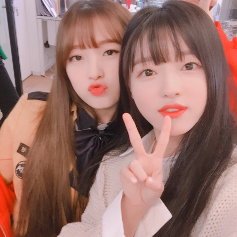 유아린 (오마이걸) | 인스티즈