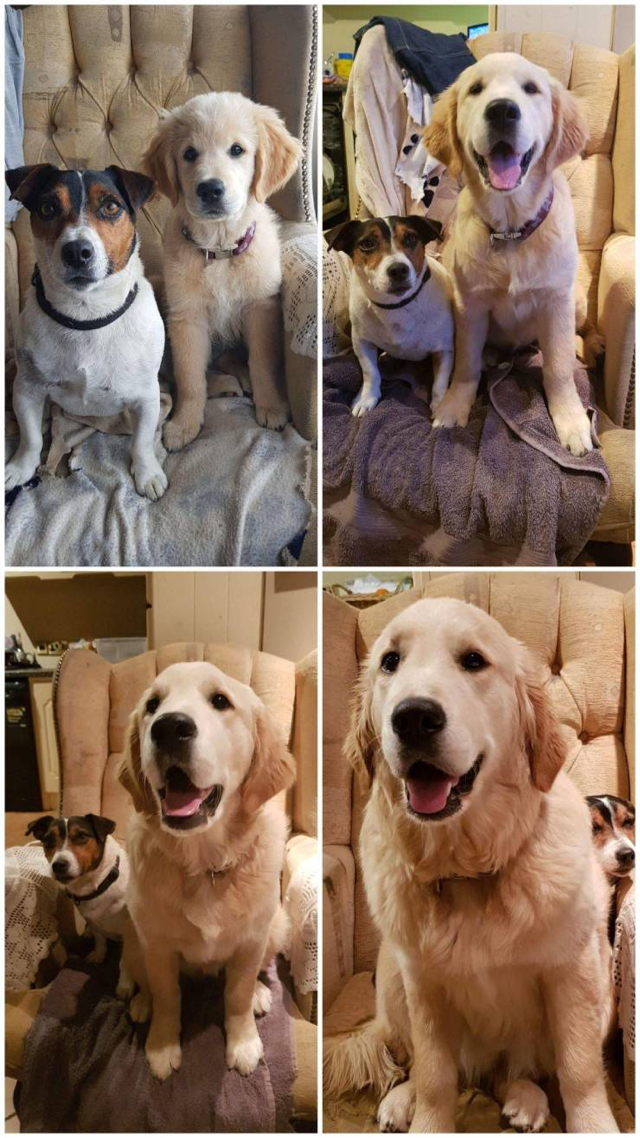 친한 동생이 너무 큰다 | 인스티즈