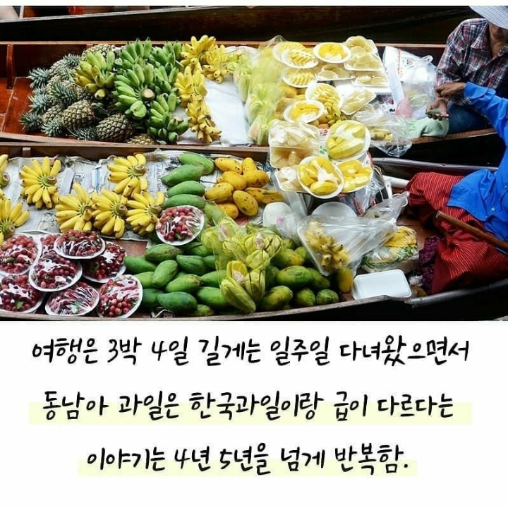 동남아 여행다녀온 사람이 자주하는 말.JPG | 인스티즈