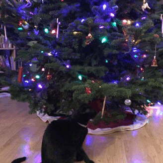 크리스마스 아침엔 역시 | 인스티즈