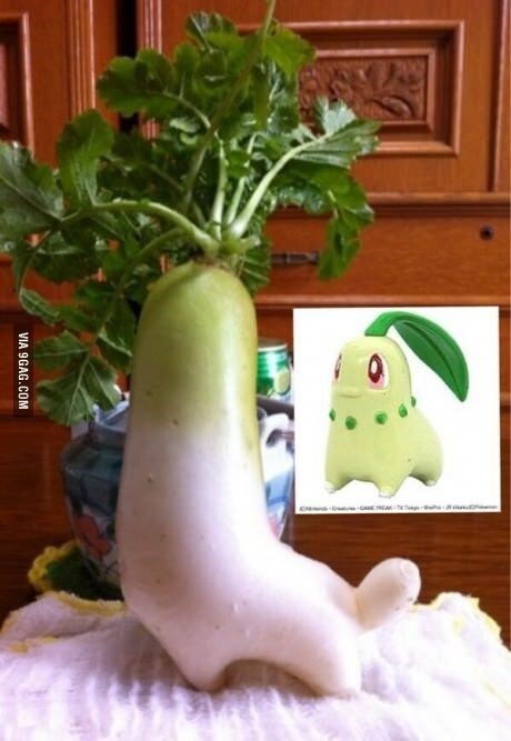 안 좋은 별명으로 불리지만 솔직히 겁나게 귀여운 포켓몬 | 인스티즈