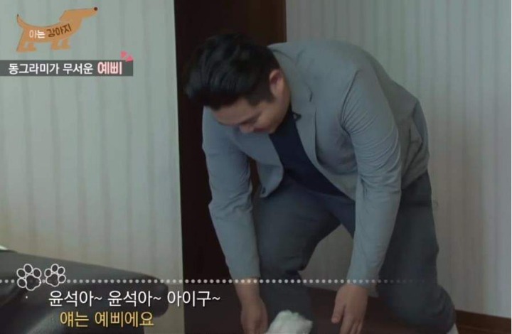 댕댕이 이름참사 | 인스티즈