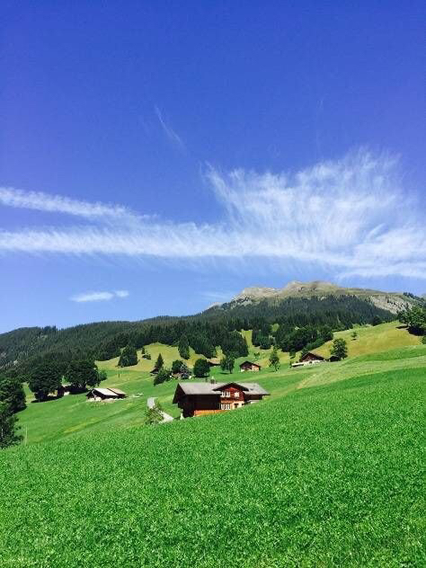 편의점이나 호프집 없을거 같아서 가기 꺼려지는 동네 | 인스티즈