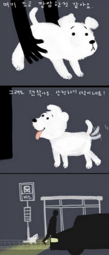 주인에게 버림받은 강아지 | 인스티즈