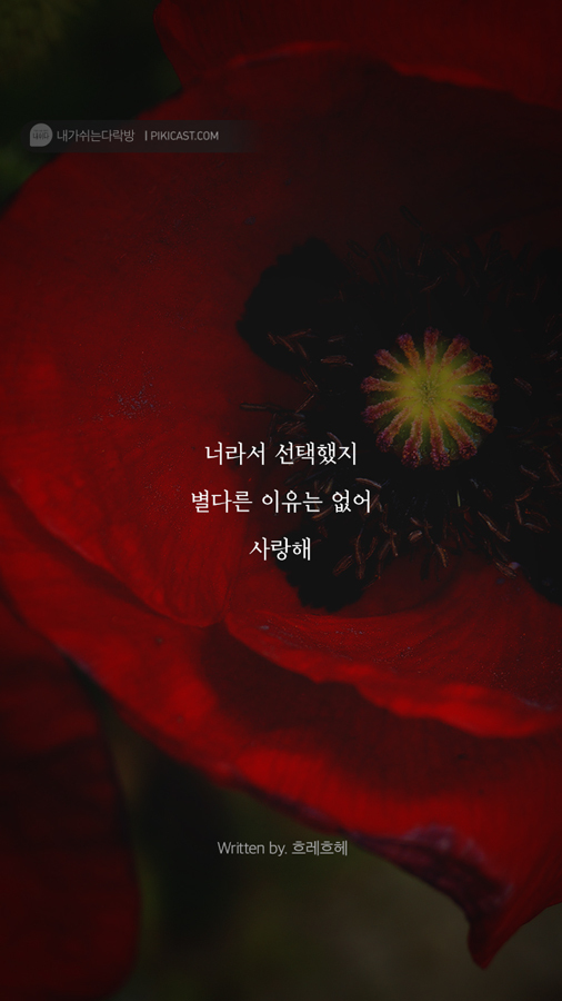 이제는 버티는게 지친 당신을 위로할 글 | 인스티즈