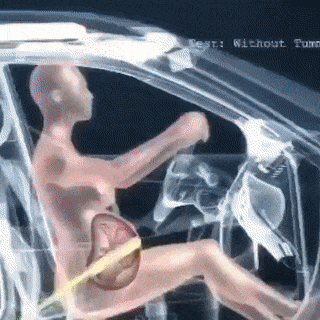 임산부용 안전벨트.gif | 인스티즈