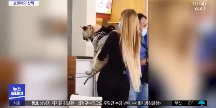 최시원 과거 좋아하는 인물 논란 해명과 이해하는 입장.jpg | 인스티즈