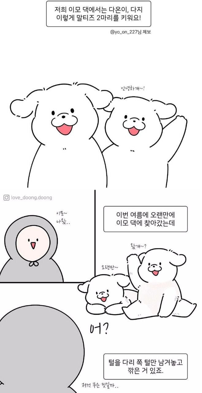 댕댕이들 다리털만 남겨놓은 이유.JPG | 인스티즈