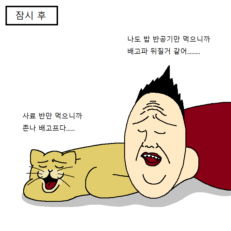 고양이랑 같이 다이어트하는 만화 | 인스티즈